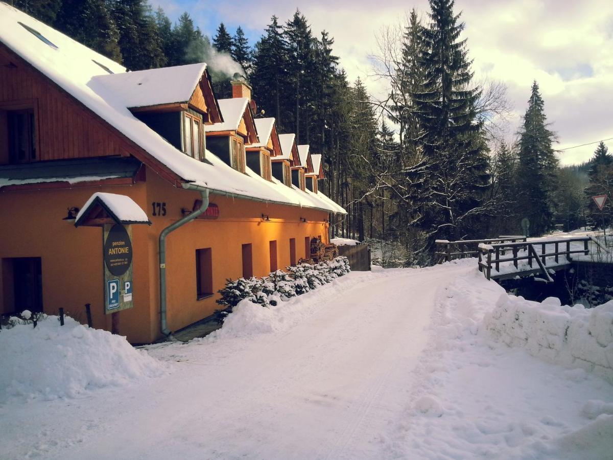 Penzion Antonie Malá Morávka Exteriör bild